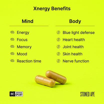 Xnergy: A.M. Nootropic for Calm Energy, Focus & Motivation