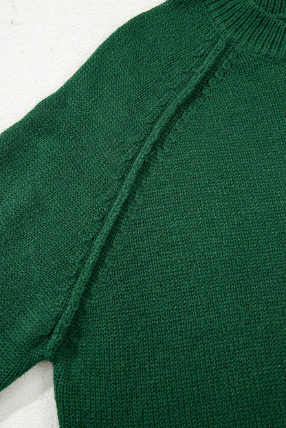 Evergreen Plain Raglan Sleeve Crew Neck Sweater